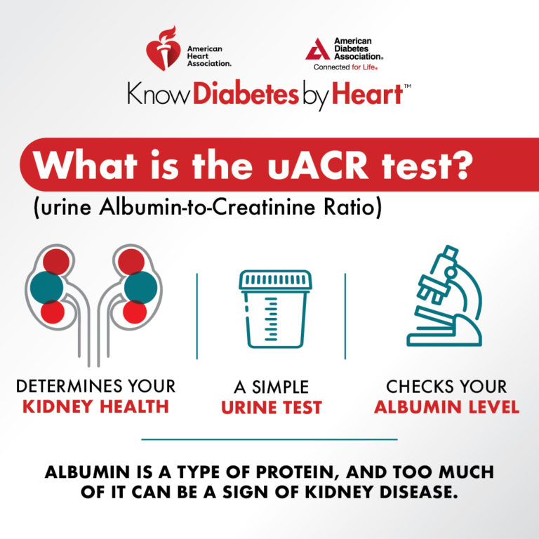 Diabetes and Kidney Diseases | Manage Risk with Kidney Screening